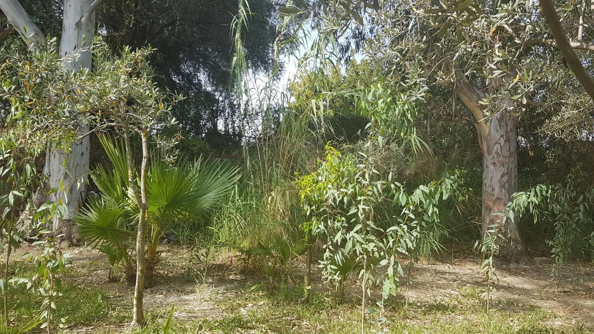 La Ermita Hébergement de vacances *