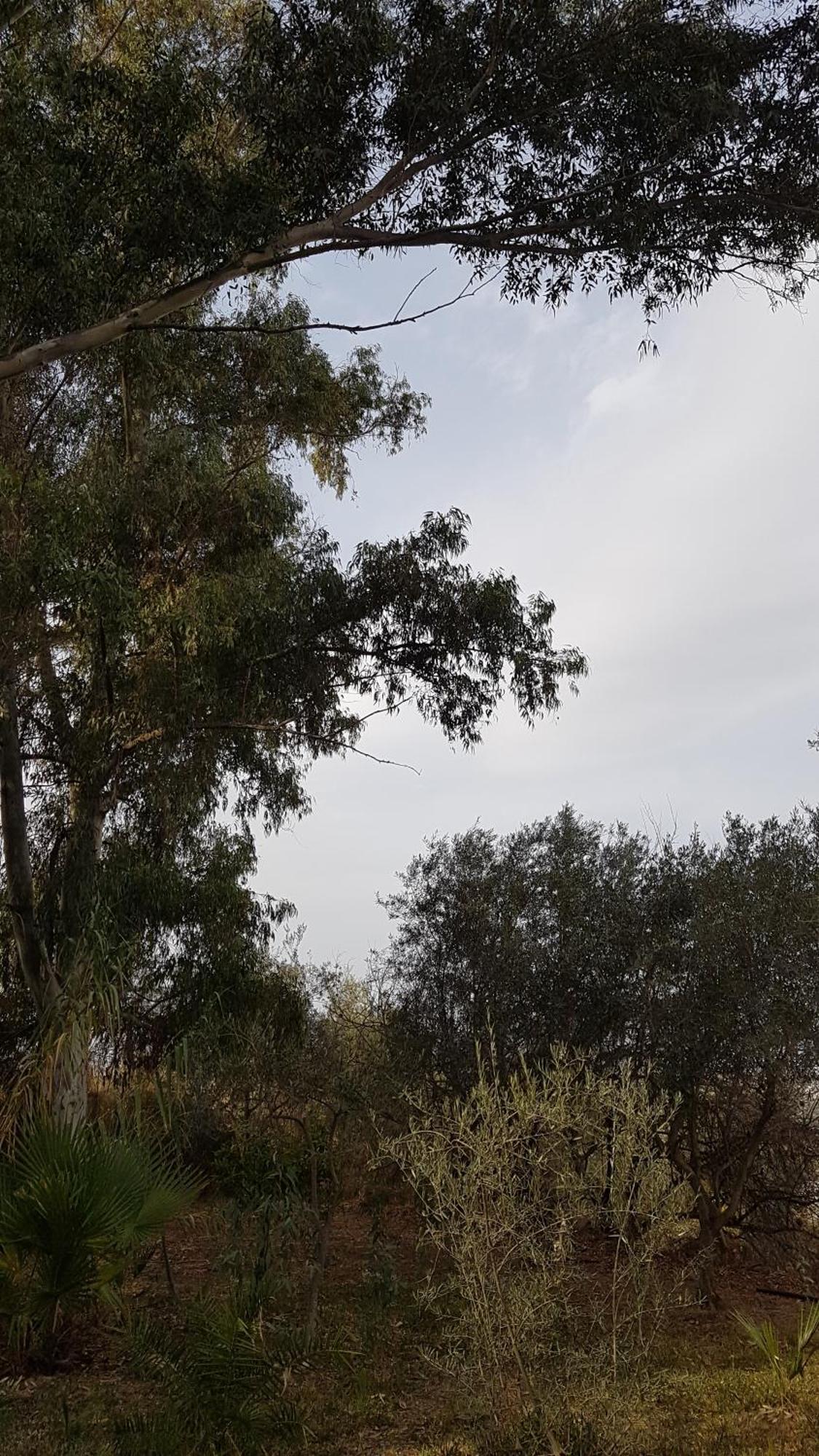 La Ermita Hébergement de vacances